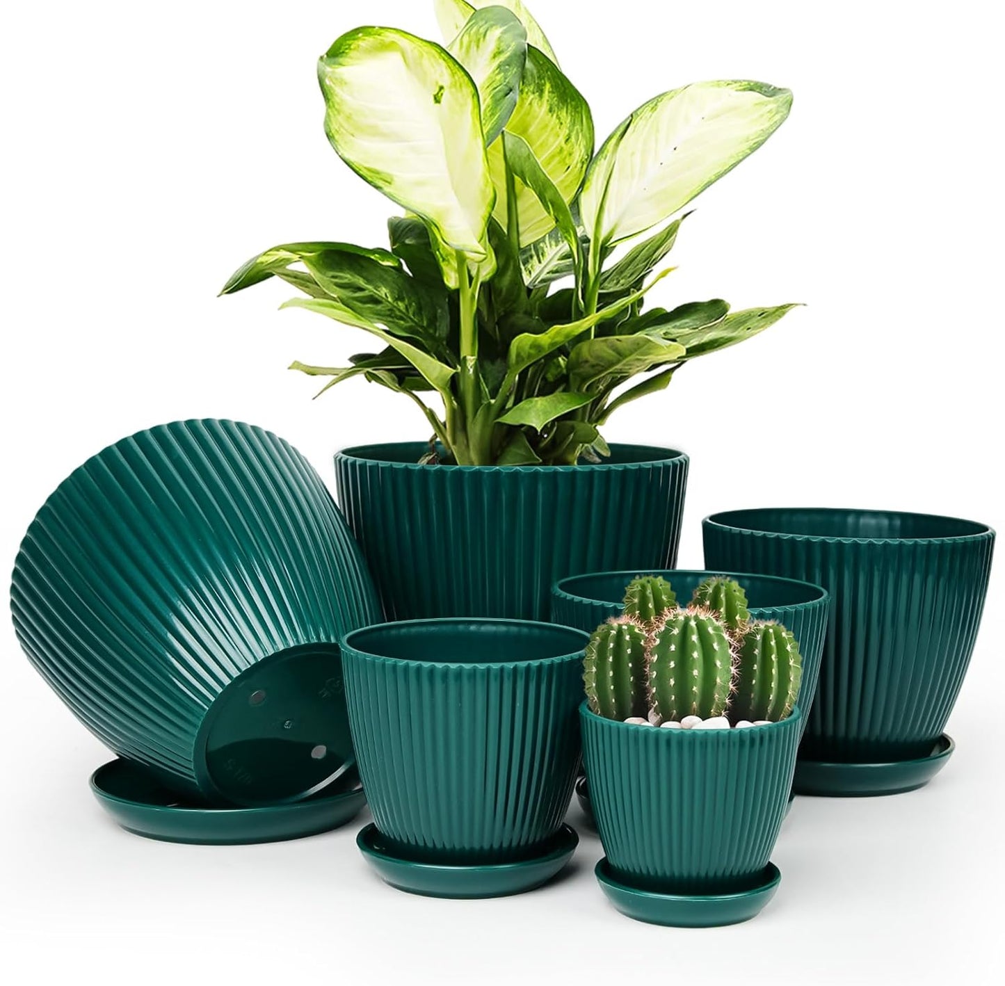 Plastic Ribbed Pots