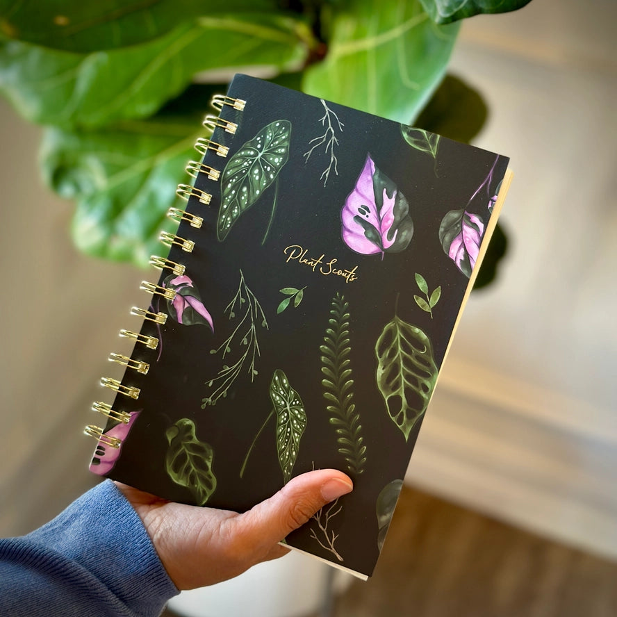 Spiral Lined Notebooks