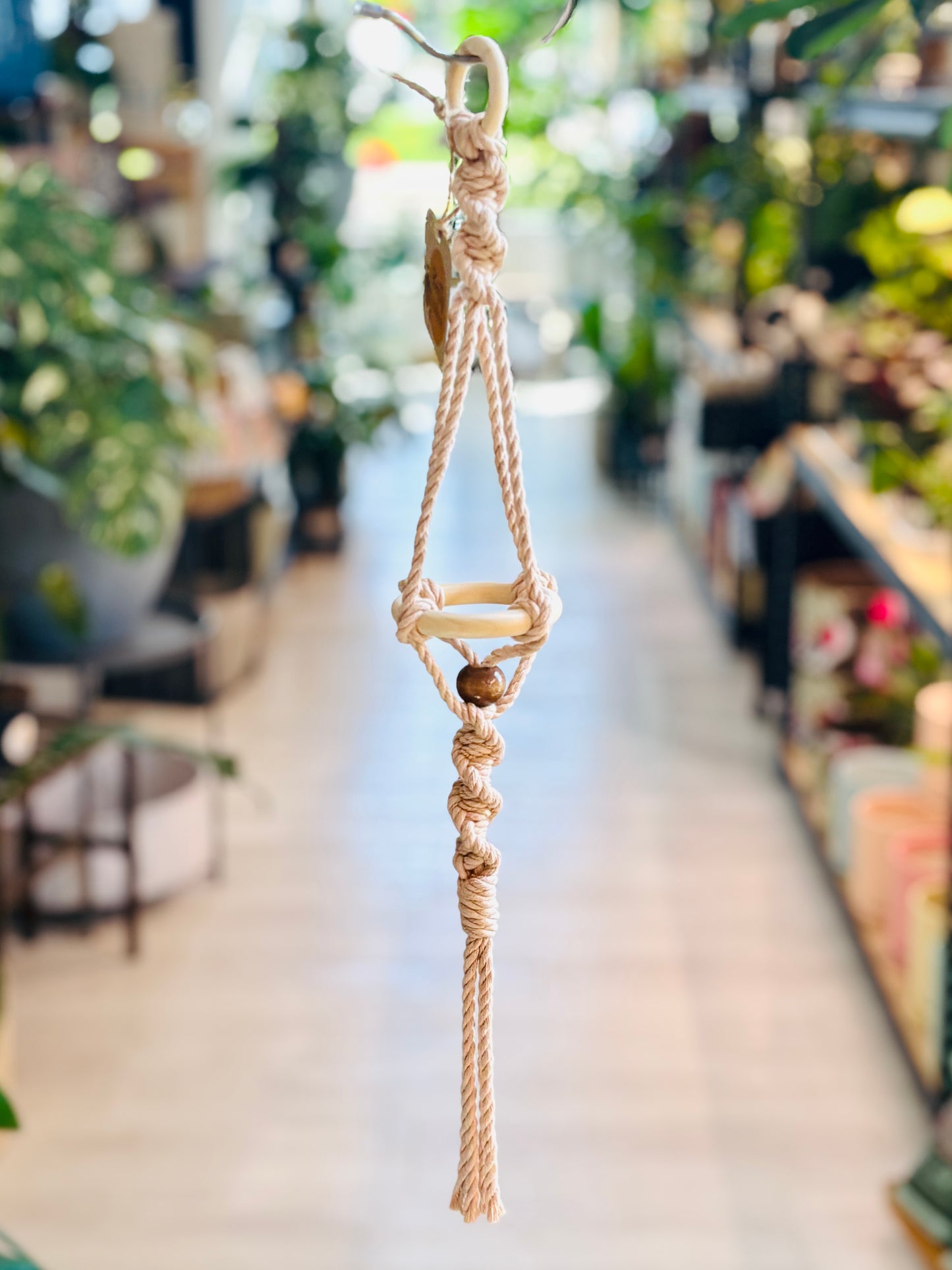 Knotty By Nature Tiered Airplant Hangers