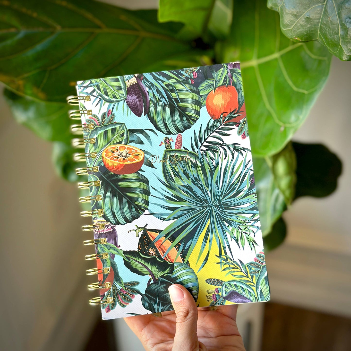 Spiral Lined Notebooks
