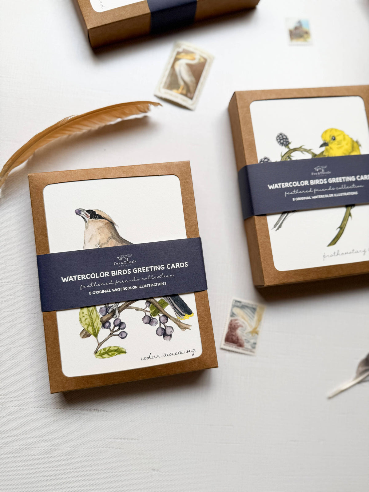 Boxed Watercolor Bird And Botanical Greeting Card Packs