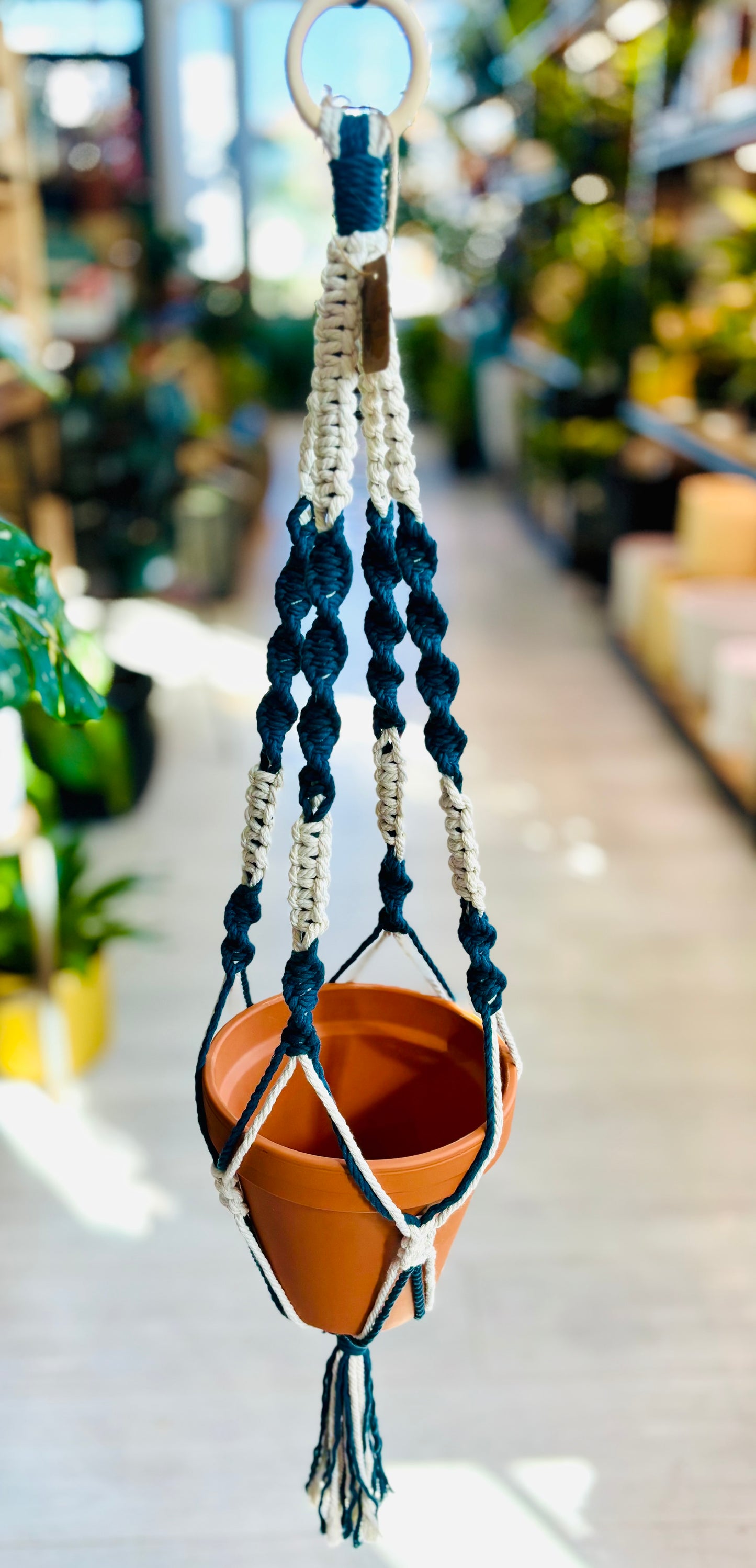 Knotty by Nature Macrame Hangers