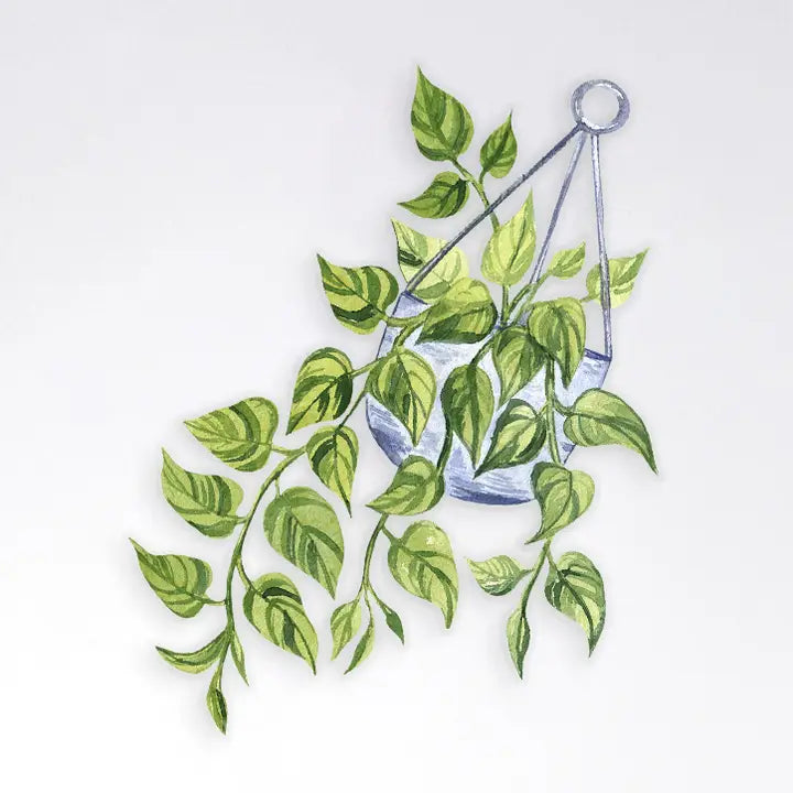 Plant Scouts Stickers