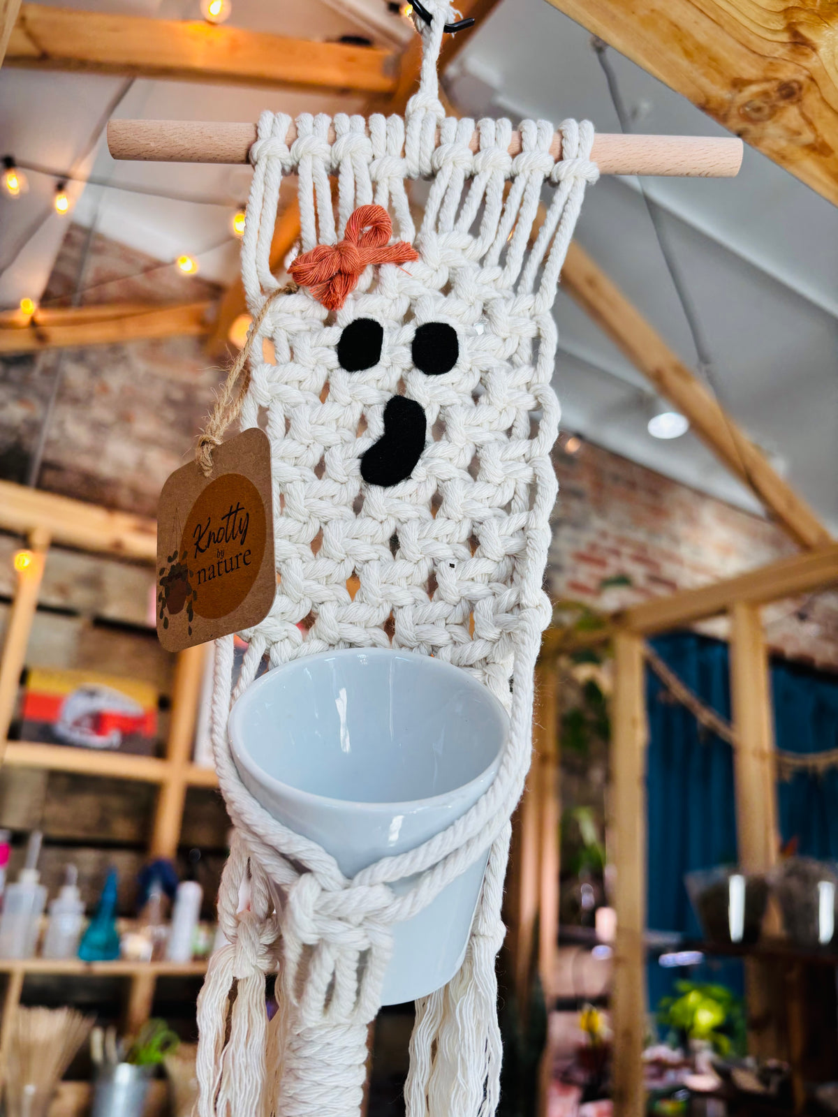 Knotty By Nature Ghost Macrame Hangers w/ 2" Pot