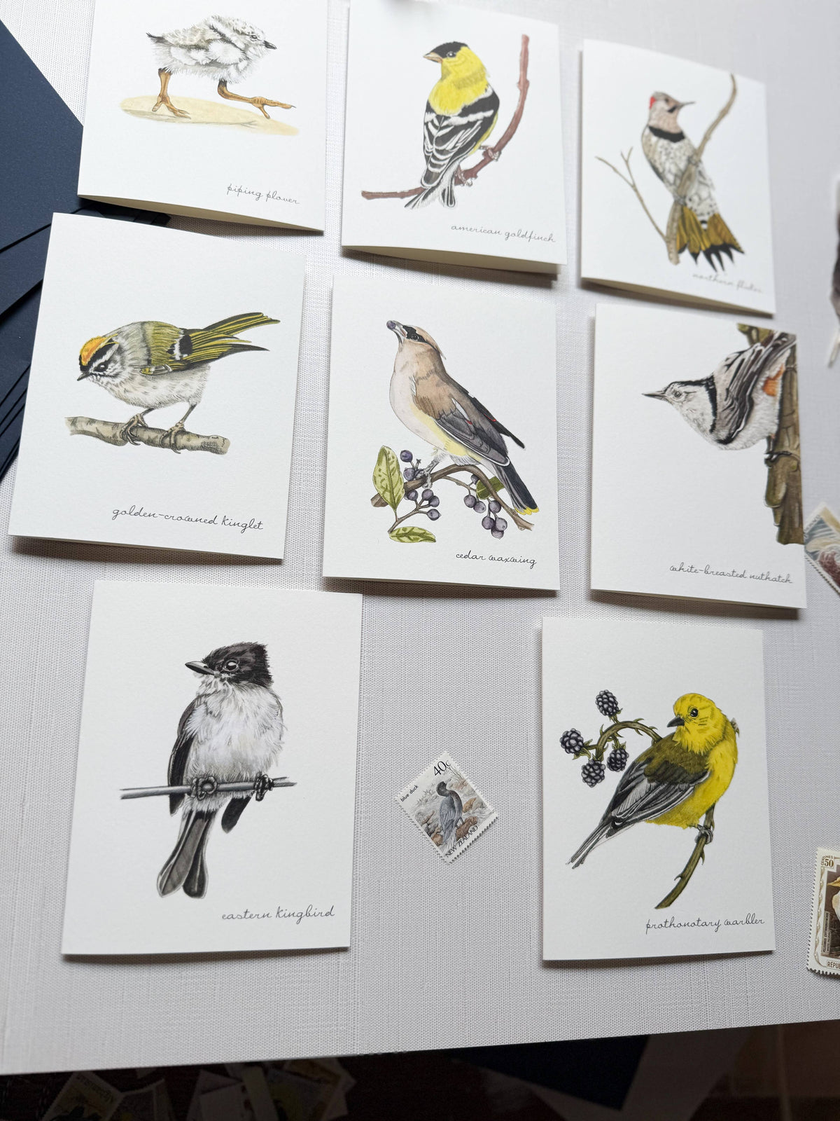 Boxed Watercolor Bird And Botanical Greeting Card Packs