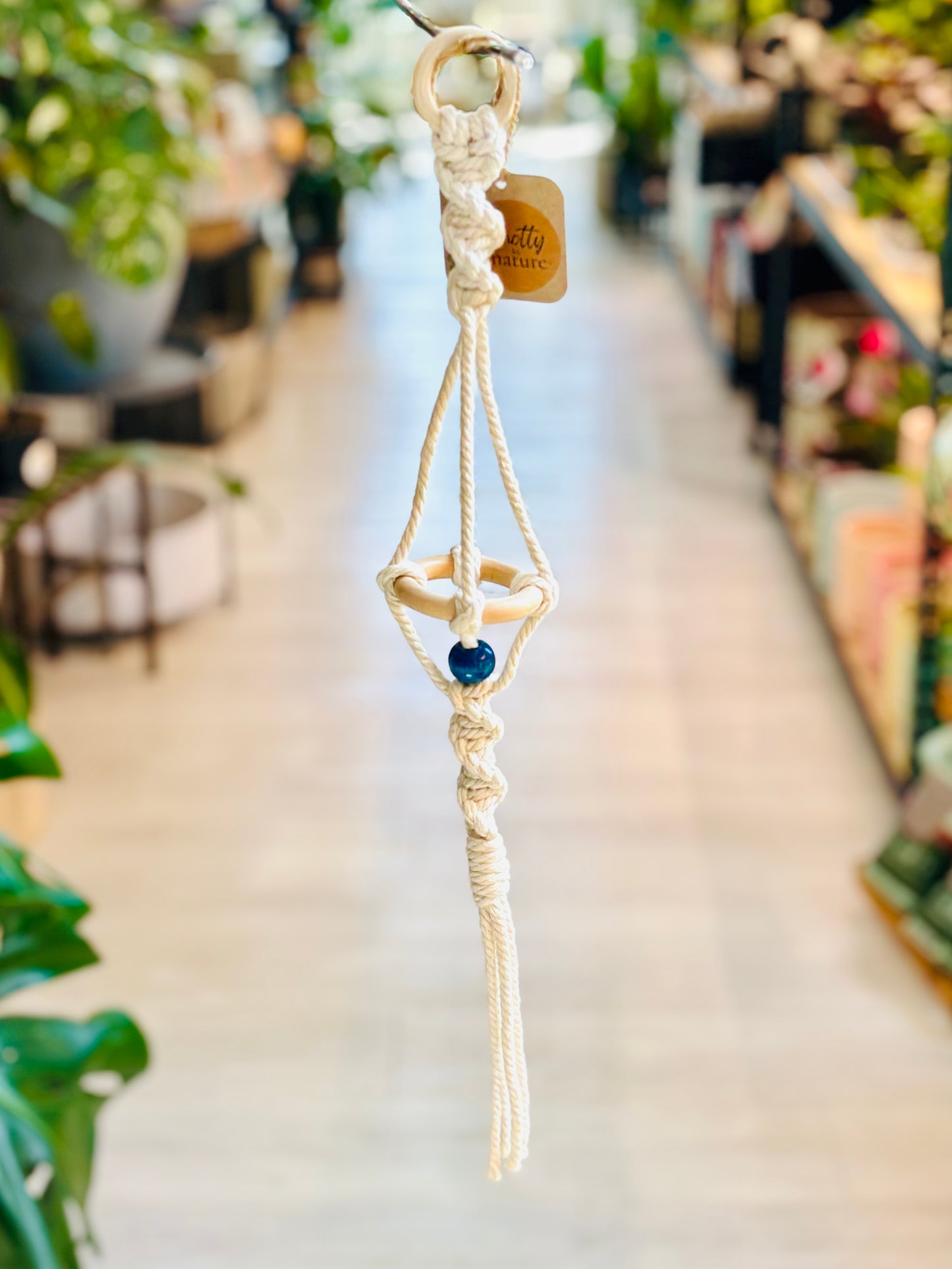 Knotty By Nature Tiered Airplant Hangers