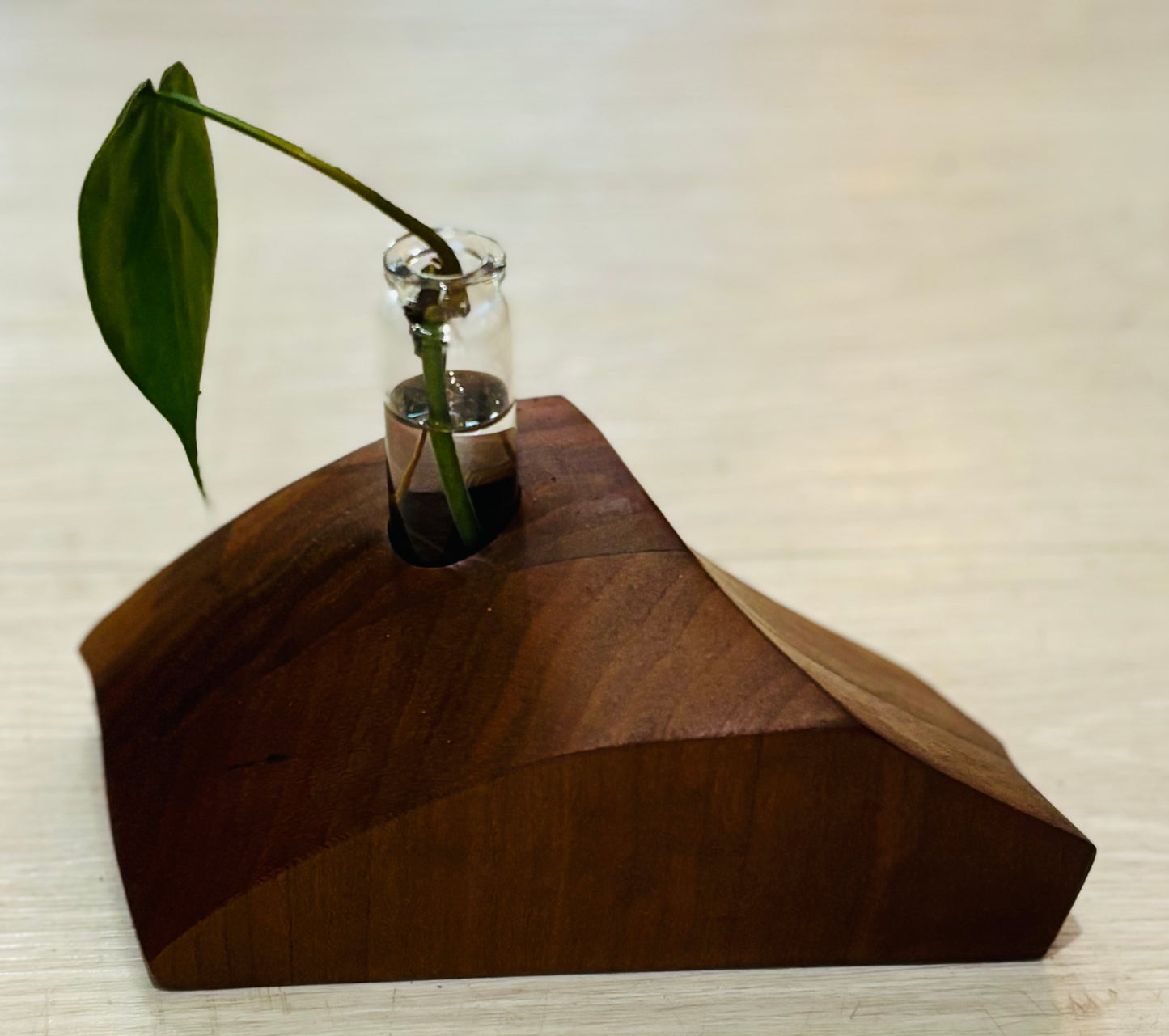 Silva & Ore Unique Solid Wood Propagation Stations
