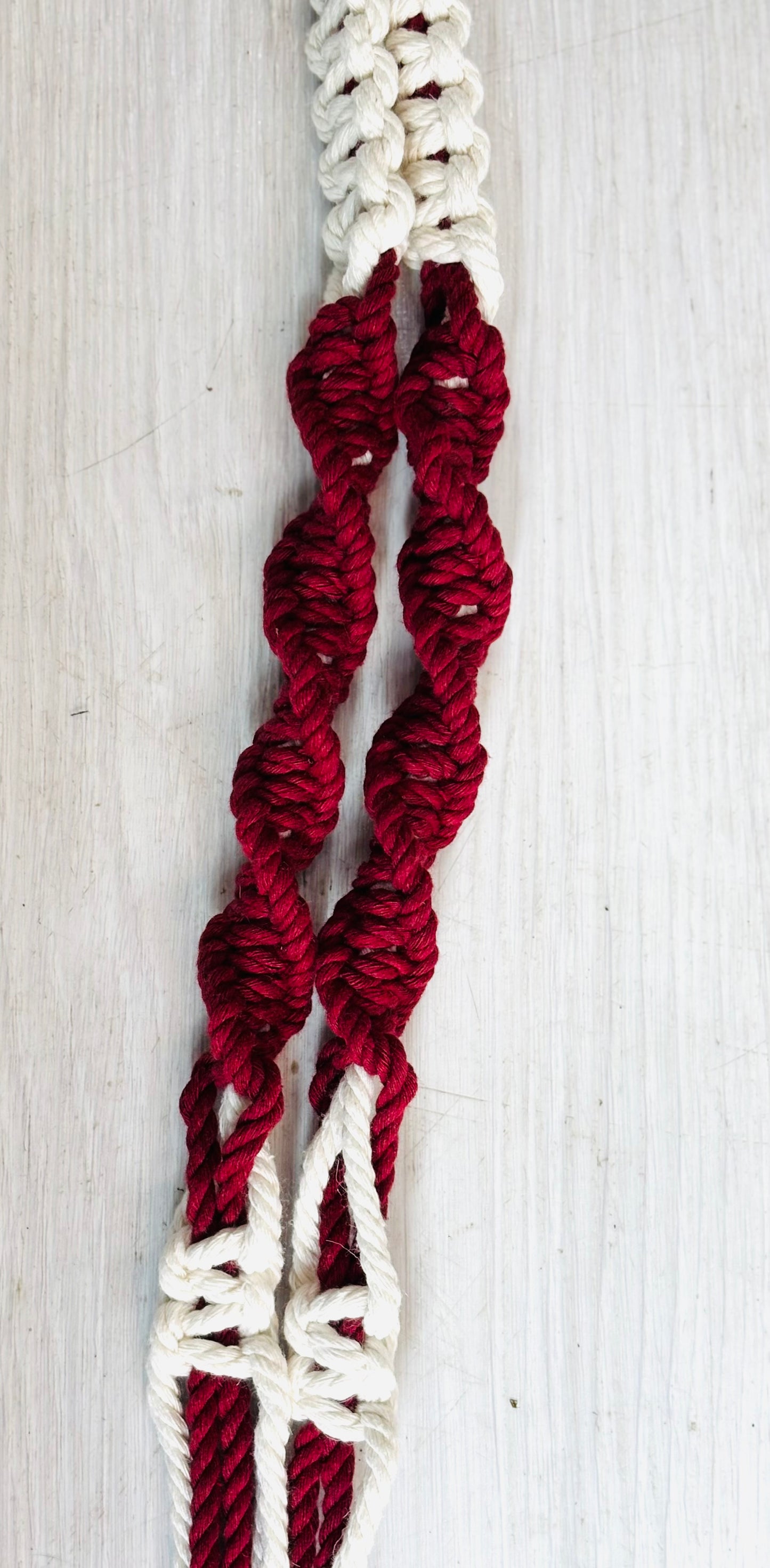 Knotty by Nature Macrame Hangers