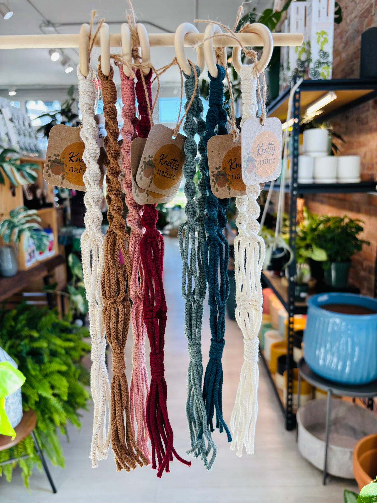 Knotty By Nature Mini Plant Macrame Hanger