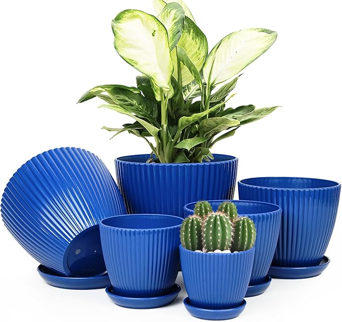 Blue Plastic Pot With Tray