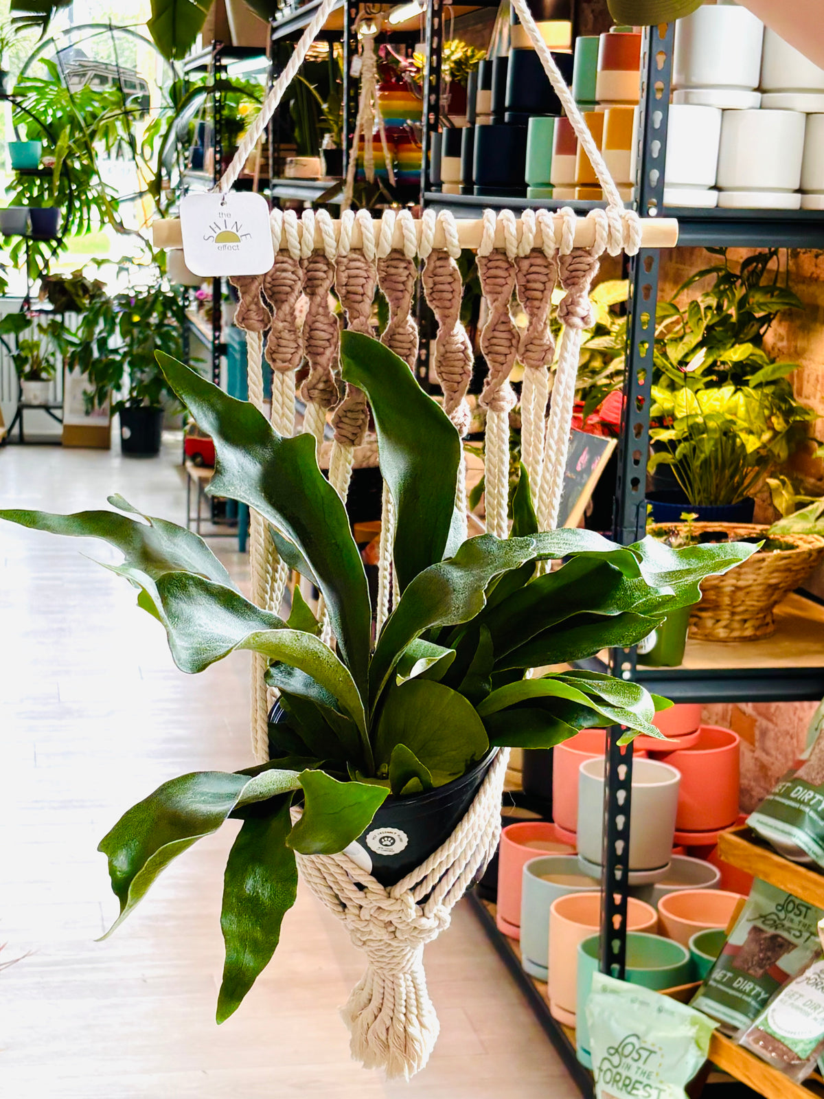 The Shine Effect - Macrame Wall Plant Holder