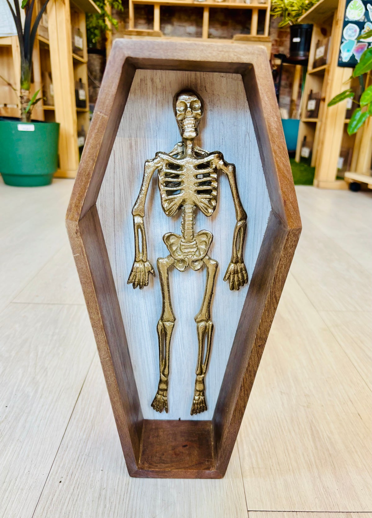 Skeleton in a Coffin