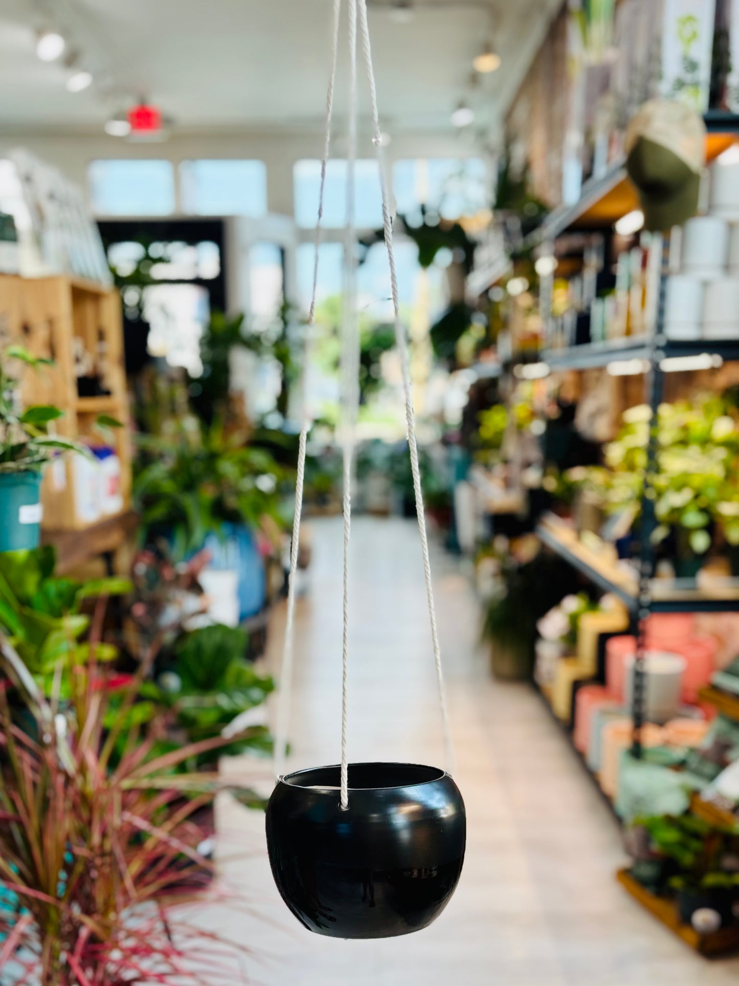 Hanging Round Pots