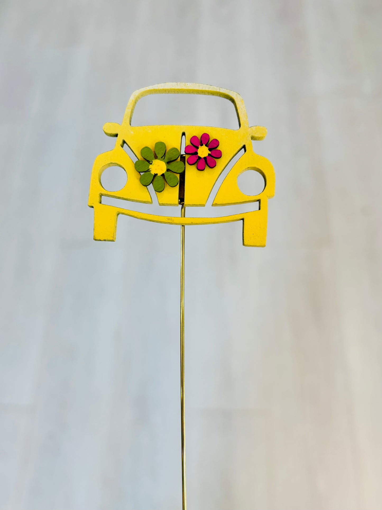 Silva & Ore Groovy Volkswagen Plant Picks