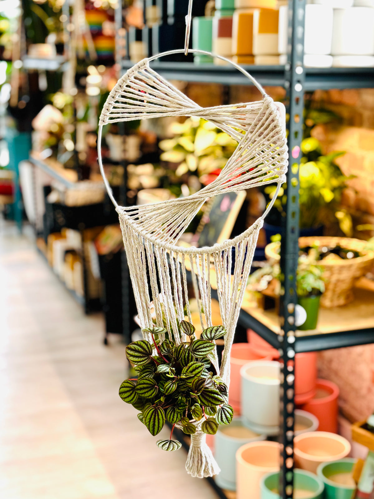The Shine Effect - Macrame Circle Plant Holder