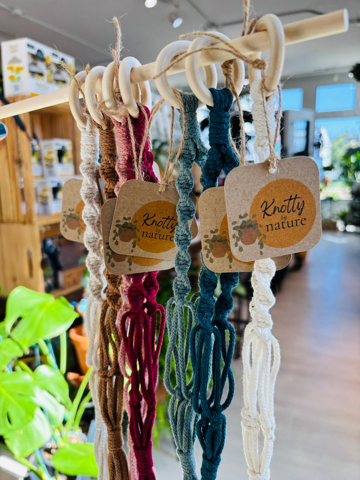 Knotty By Nature Mini Plant Macrame Hanger