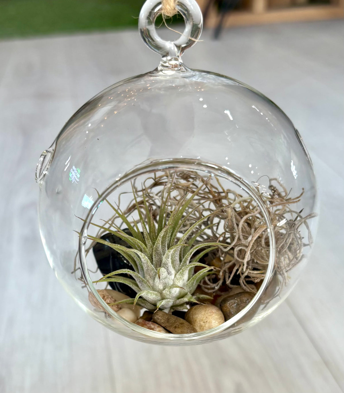 Hanging Airplant Terrarium Globes