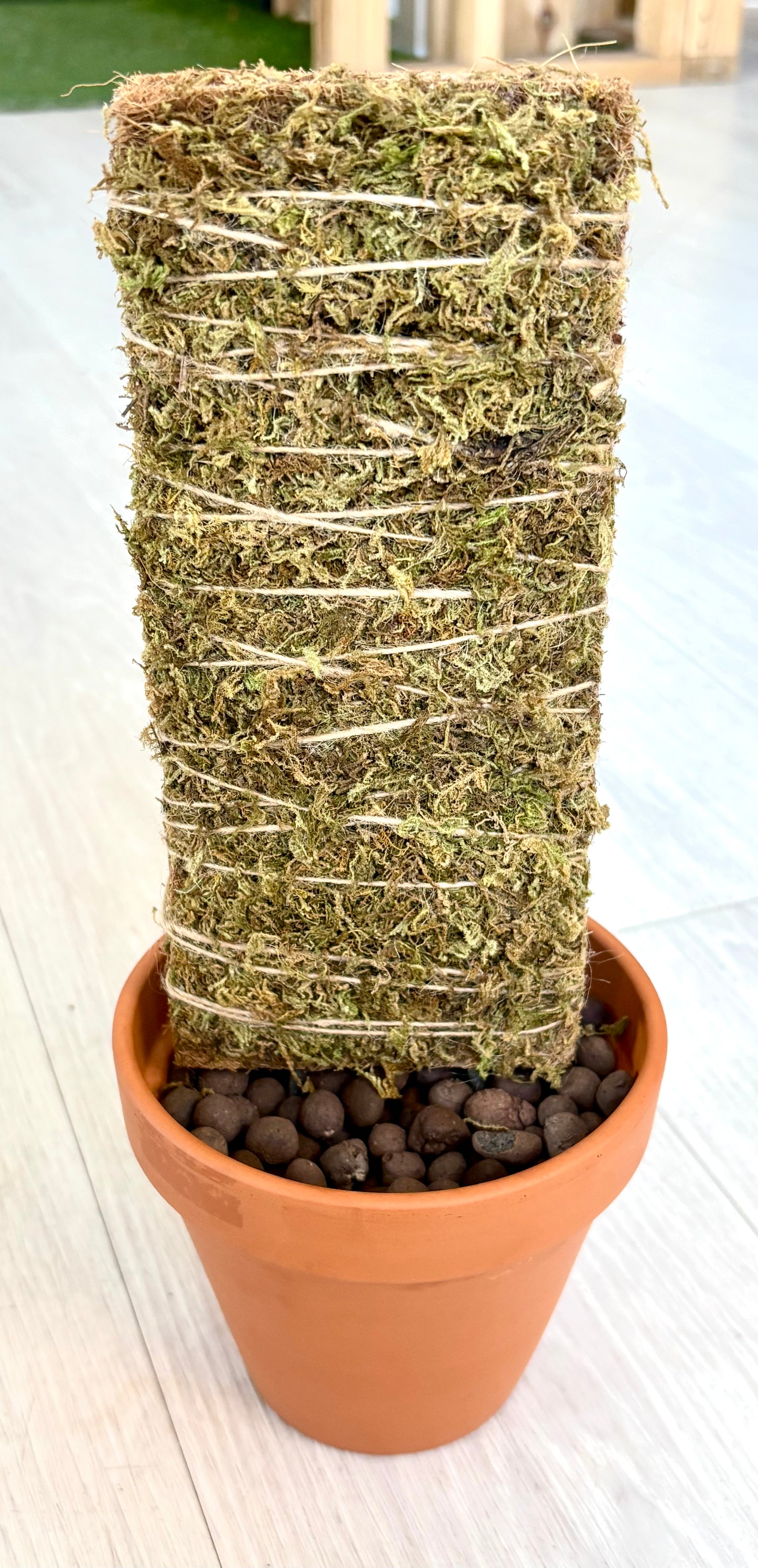 Plantera Dual-Side Plant Planks