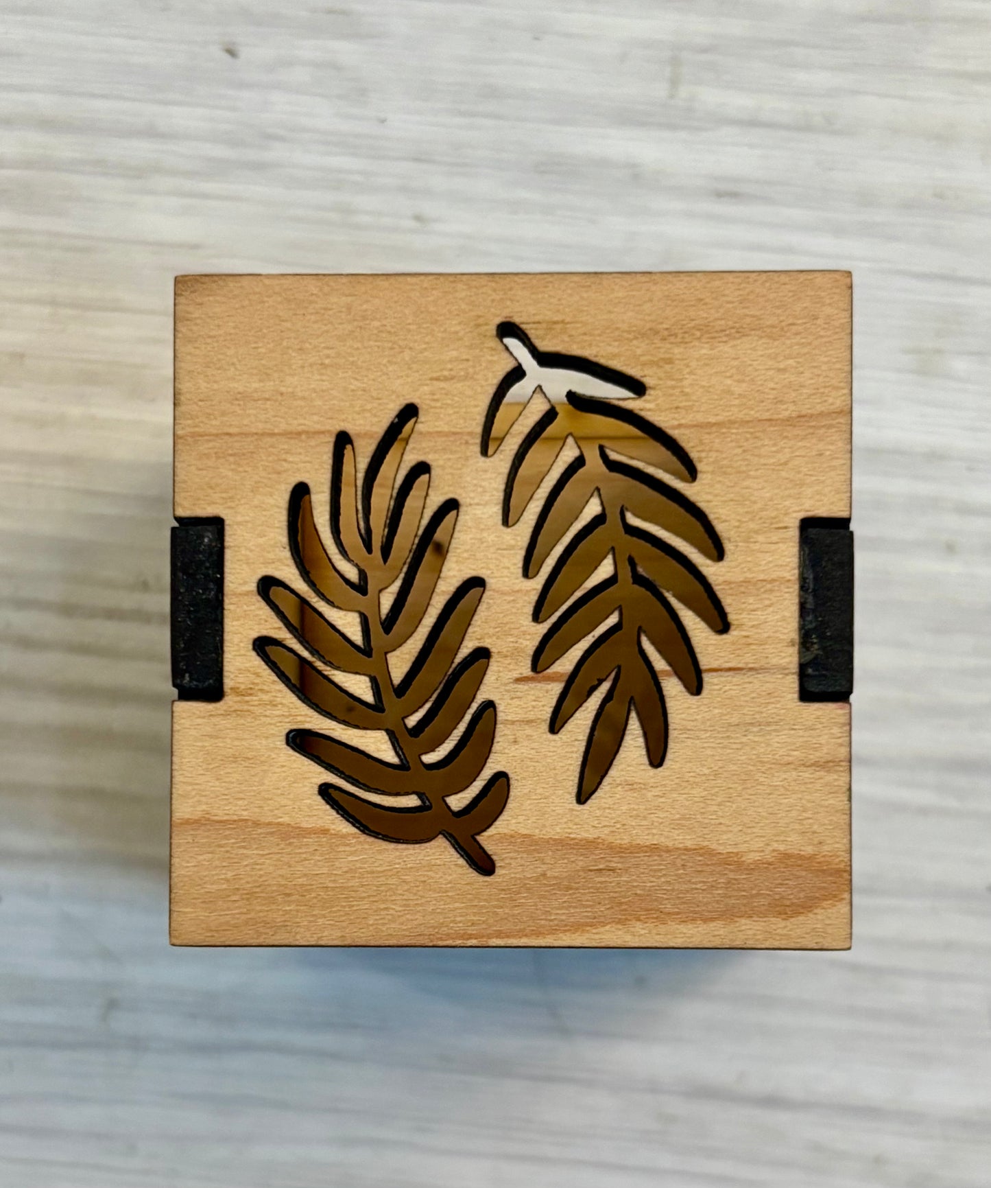 Silva & Ore Airplant Magnets
