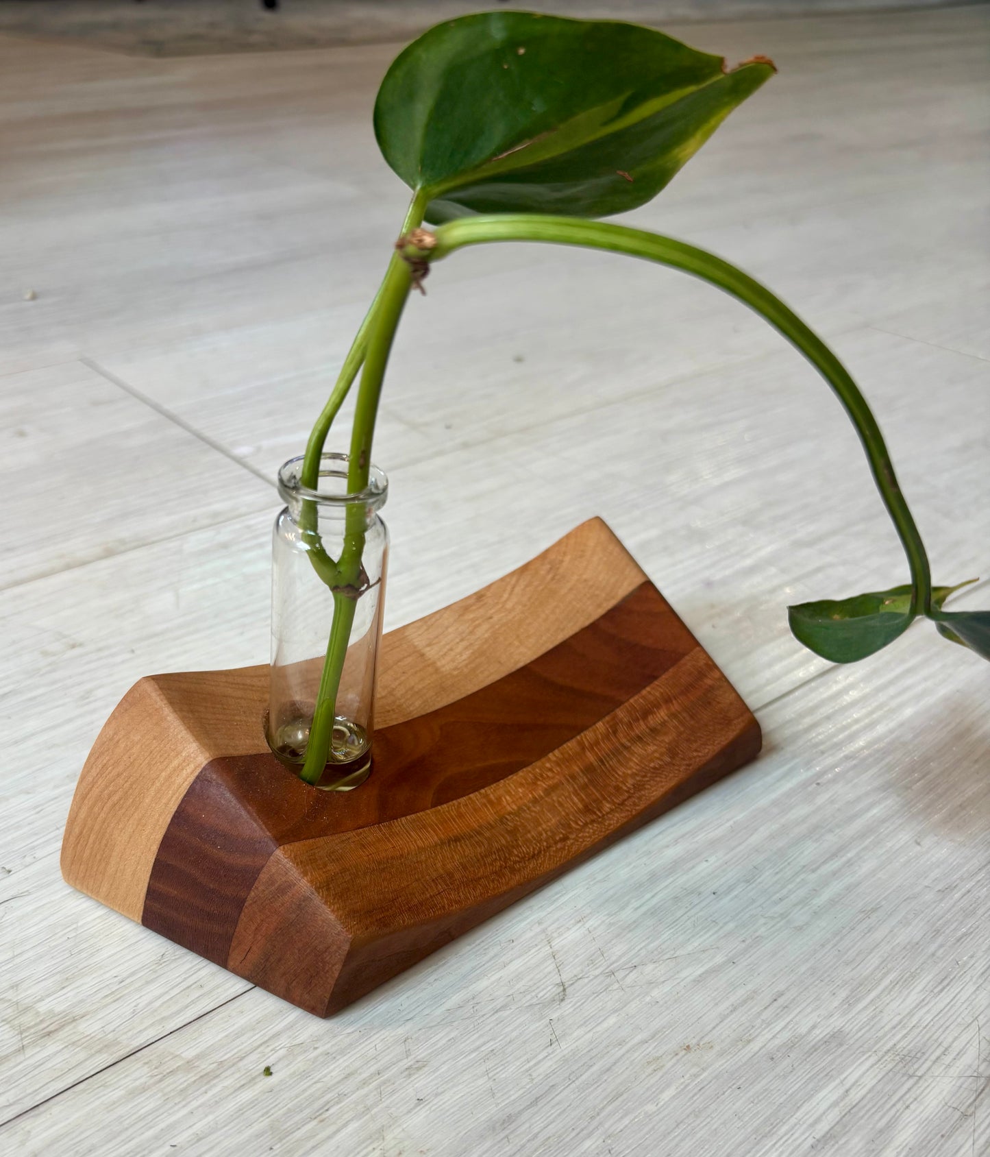 Silva & Ore Unique Solid Wood Propagation Stations