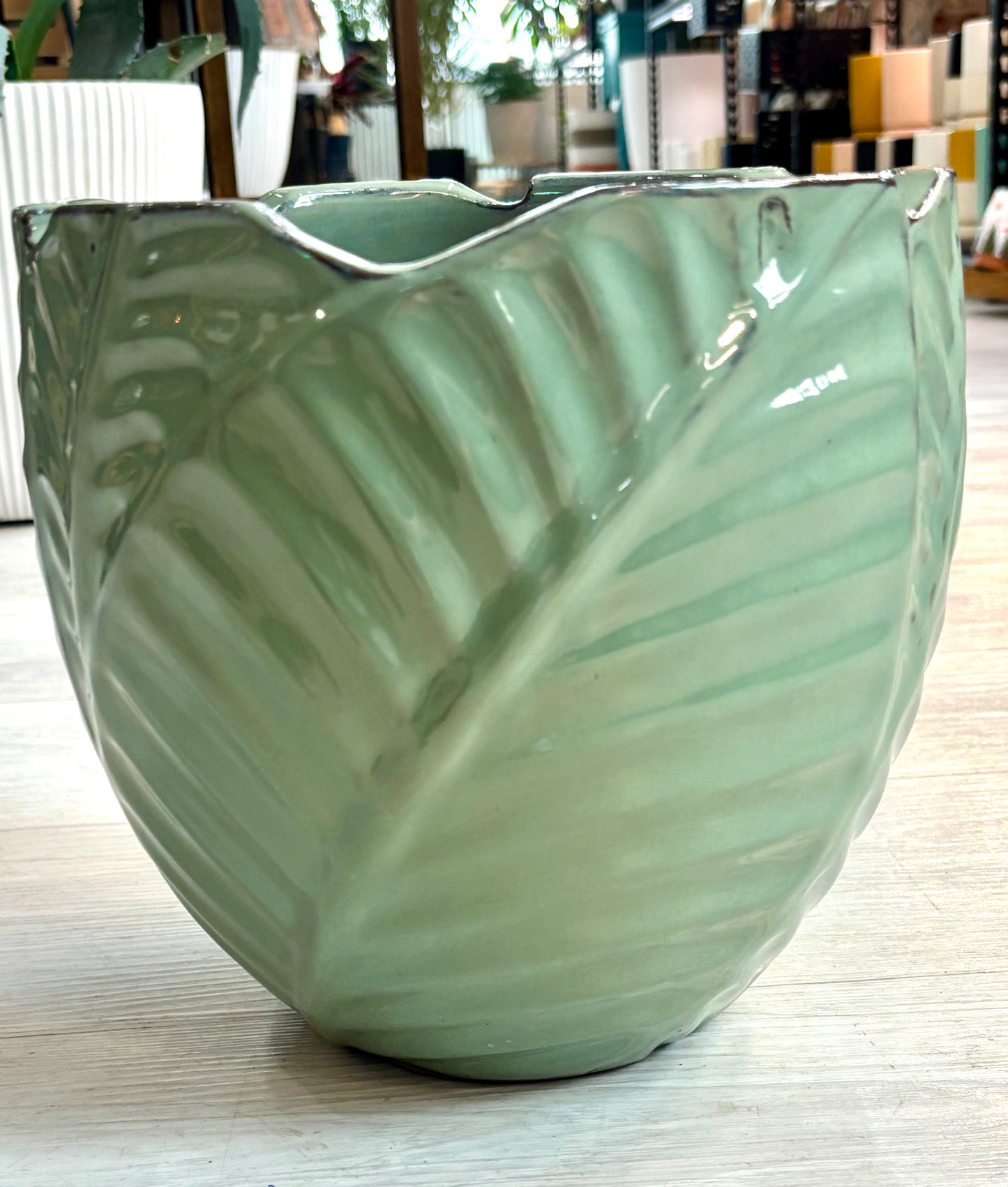 Ceramic Leaf Pot