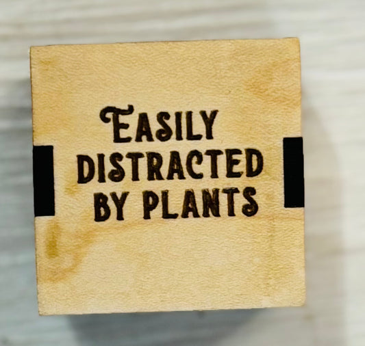 Silva & Ore Airplant Magnets