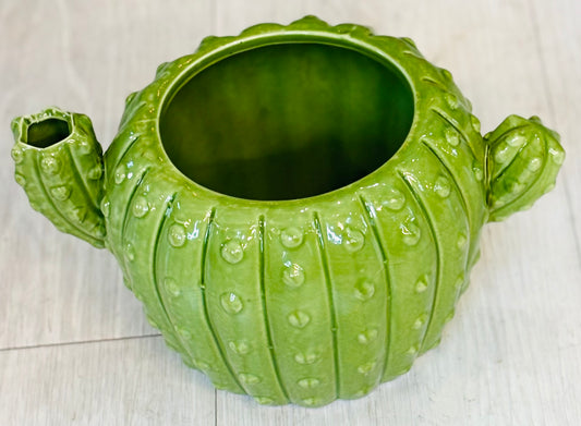 Cactus Pot