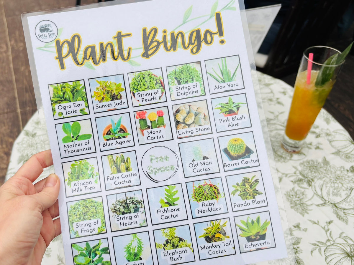 Plant Bingo - November 11th