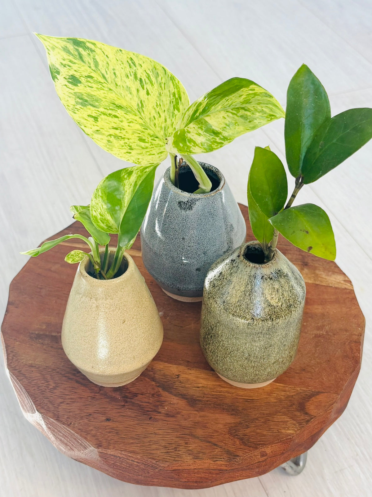 Happy Place Pottery Propagation Vases