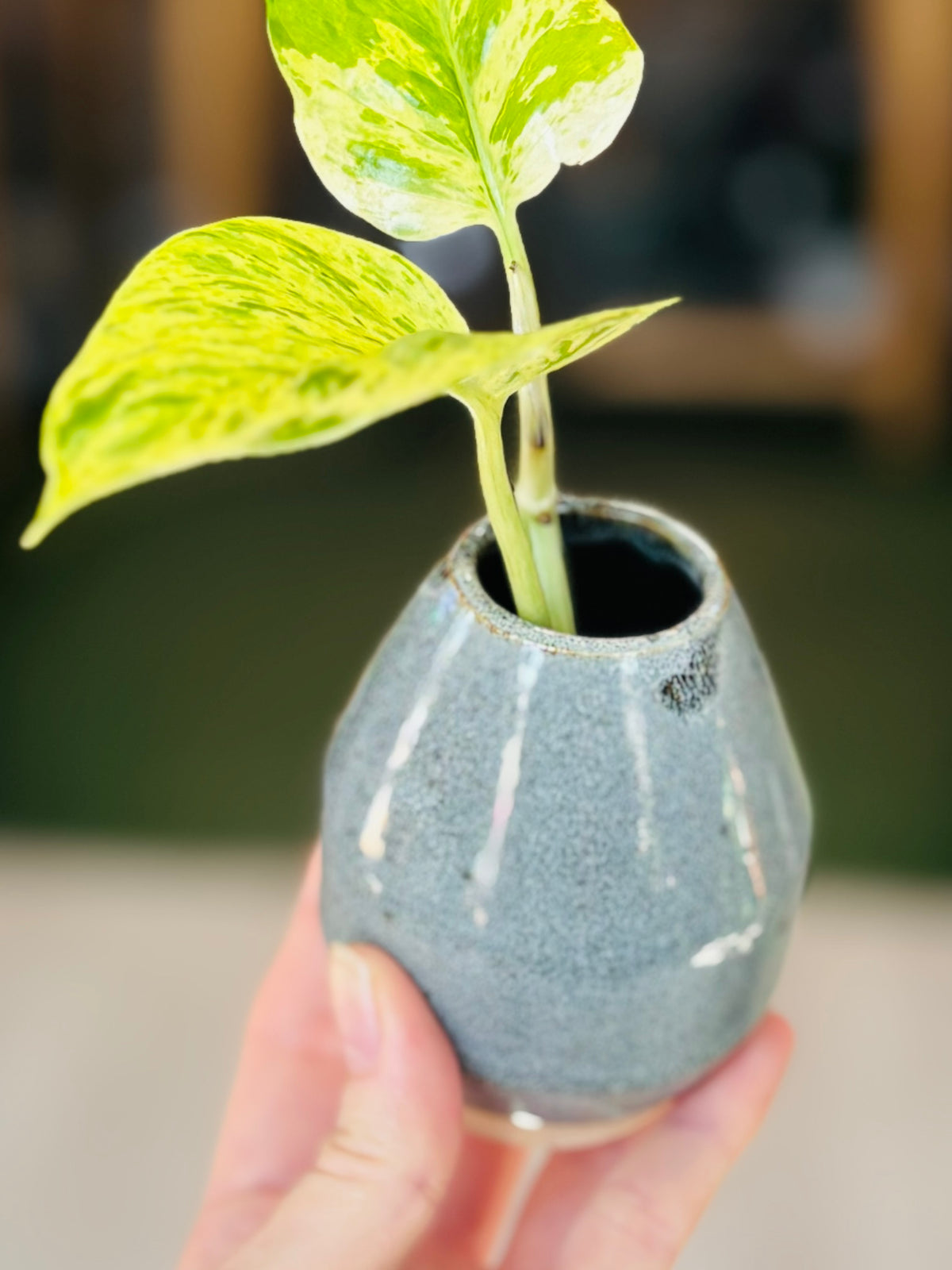 Happy Place Pottery Propagation Vases
