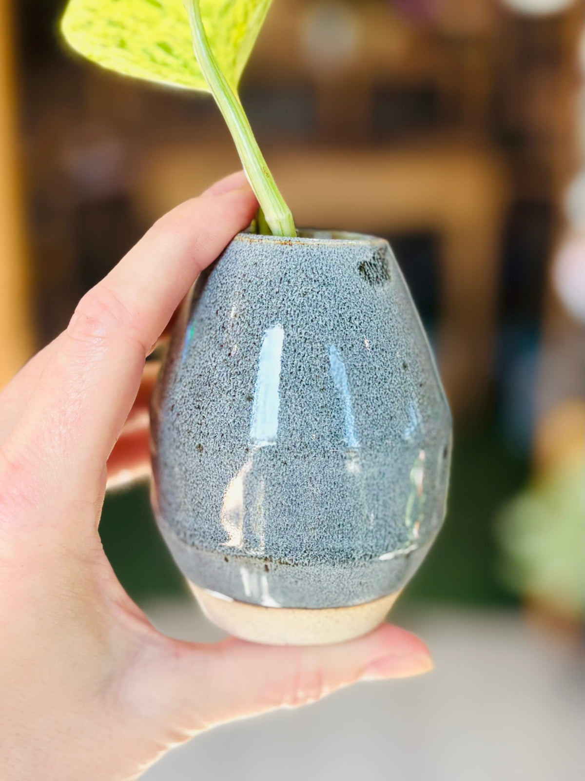 Happy Place Pottery Propagation Vases