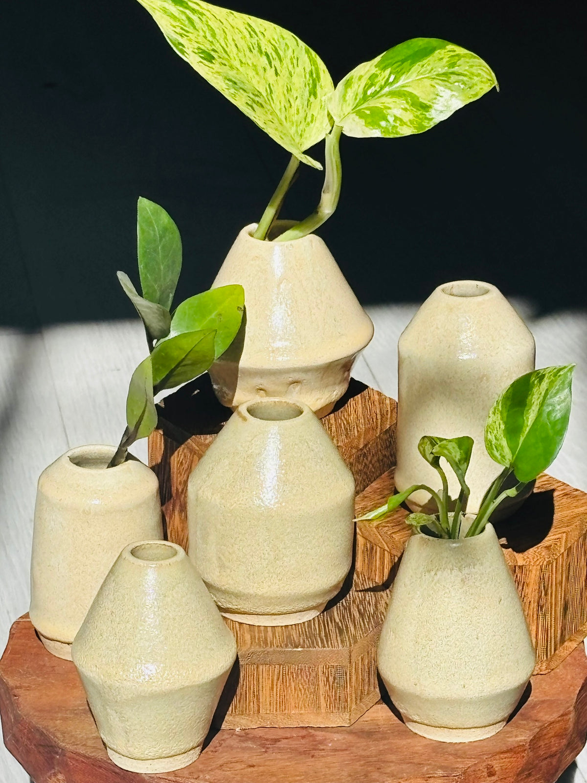 Happy Place Pottery Propagation Vases