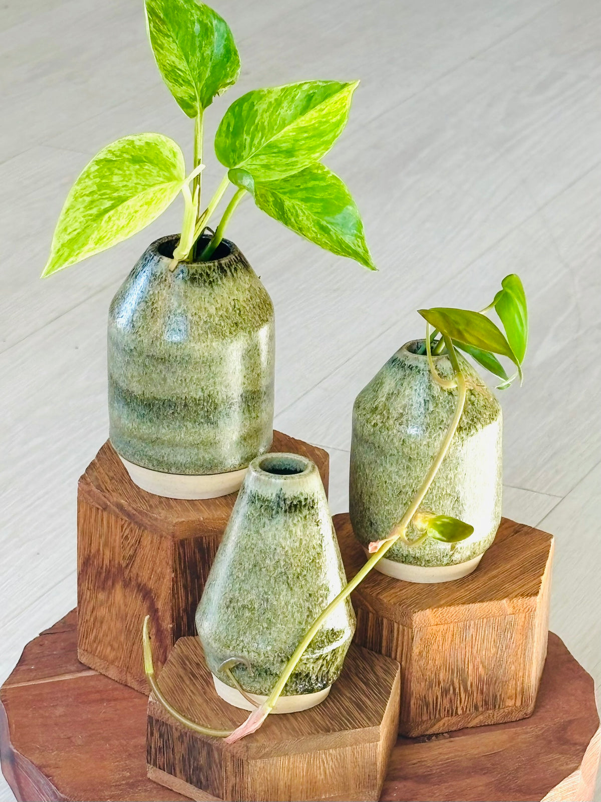 Happy Place Pottery Propagation Vases