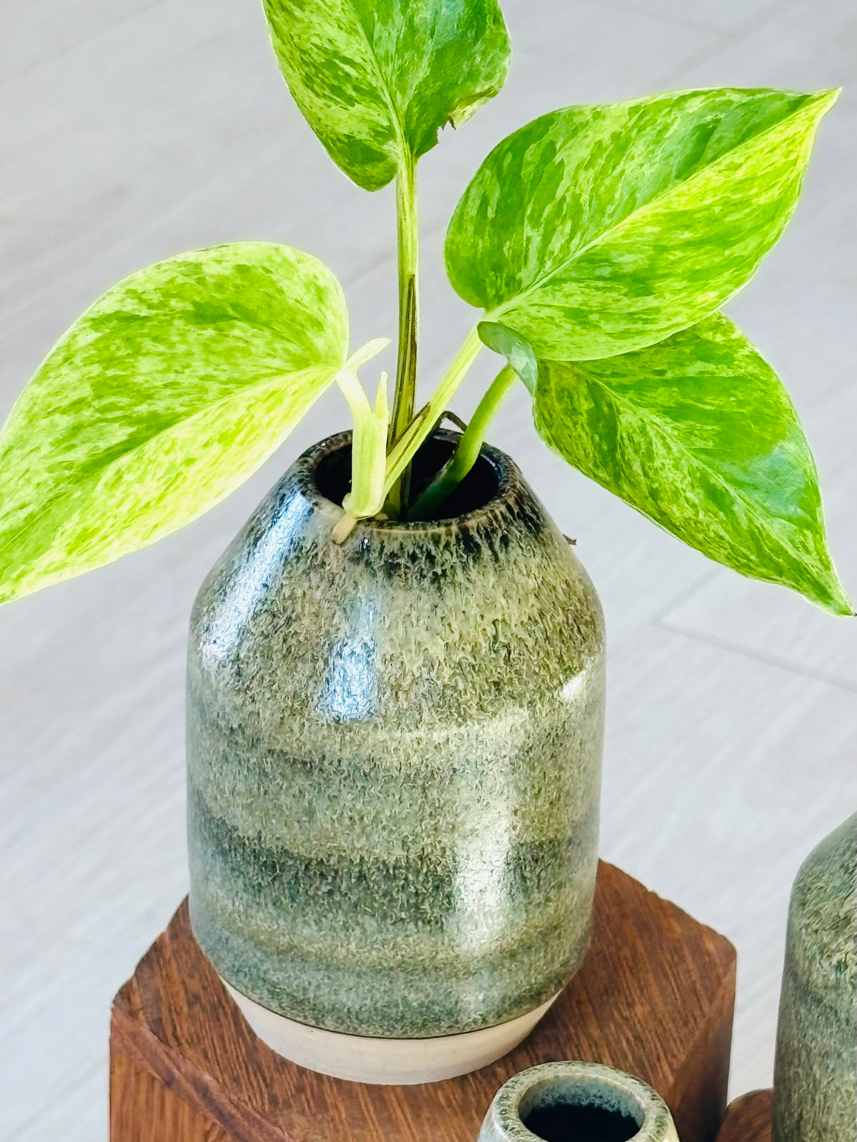 Happy Place Pottery Propagation Vases