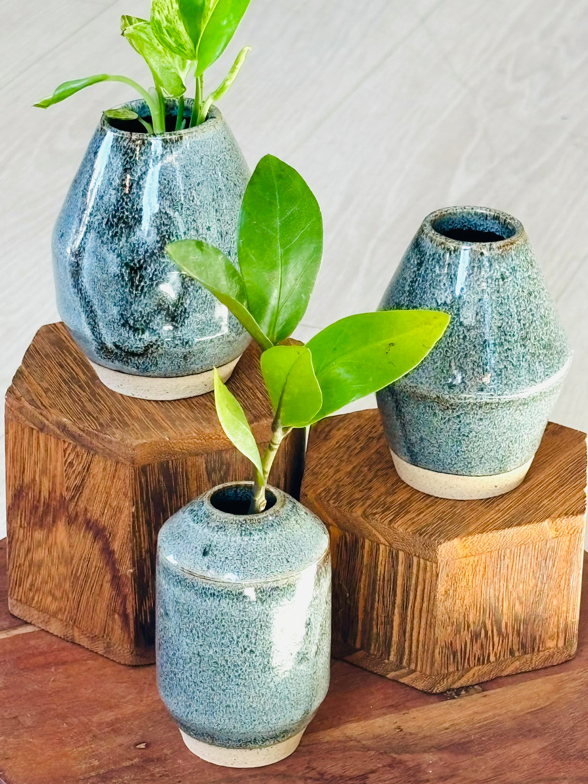 Happy Place Pottery Propagation Vases