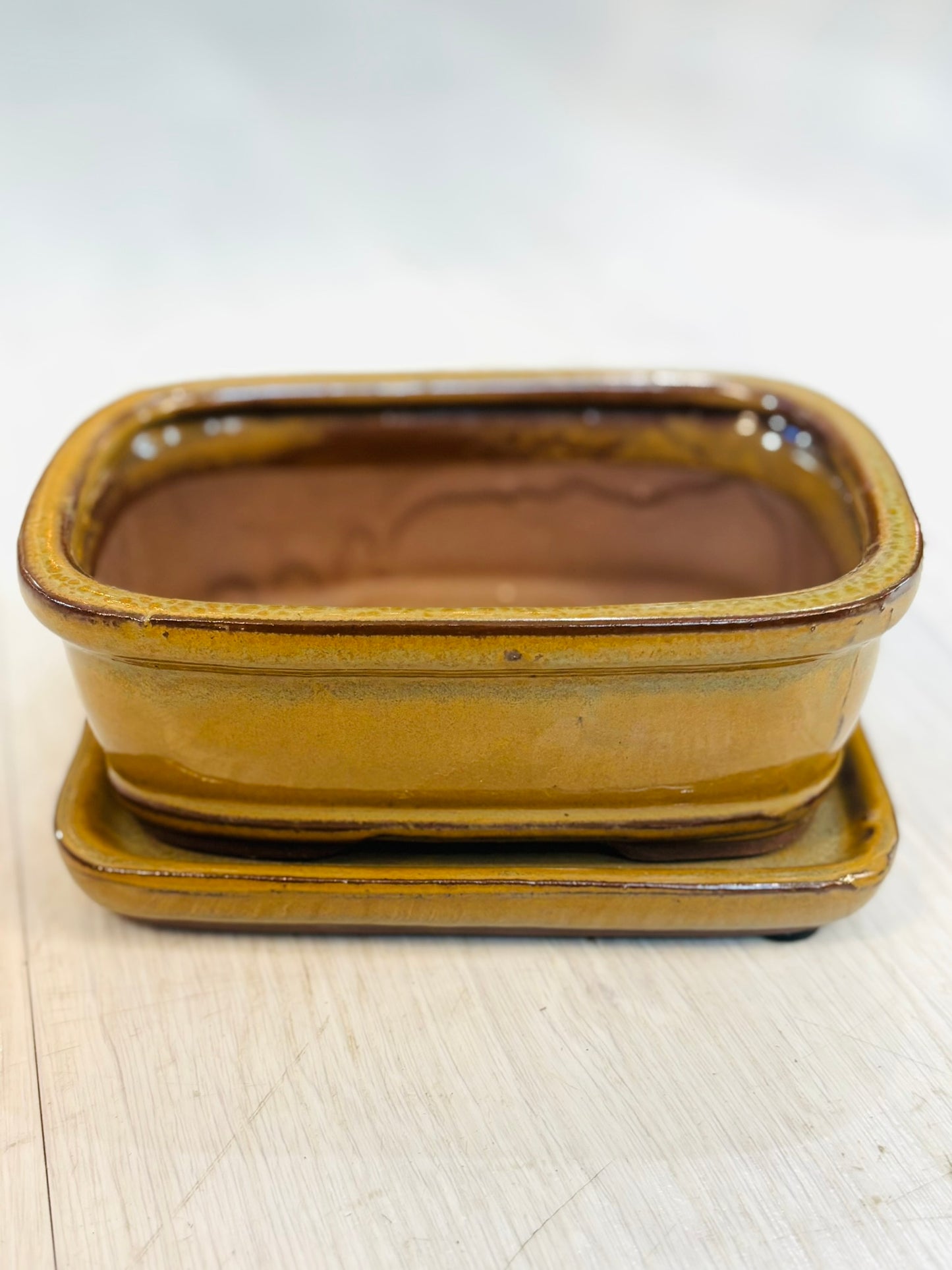 Midori Bonsai Pots