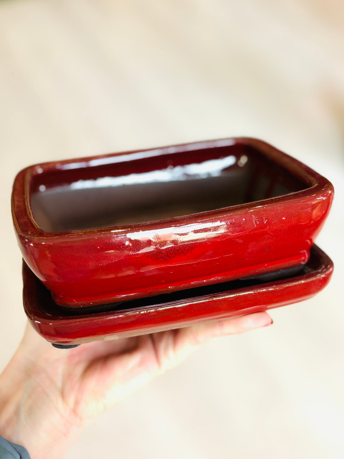 Midori Bonsai Pots