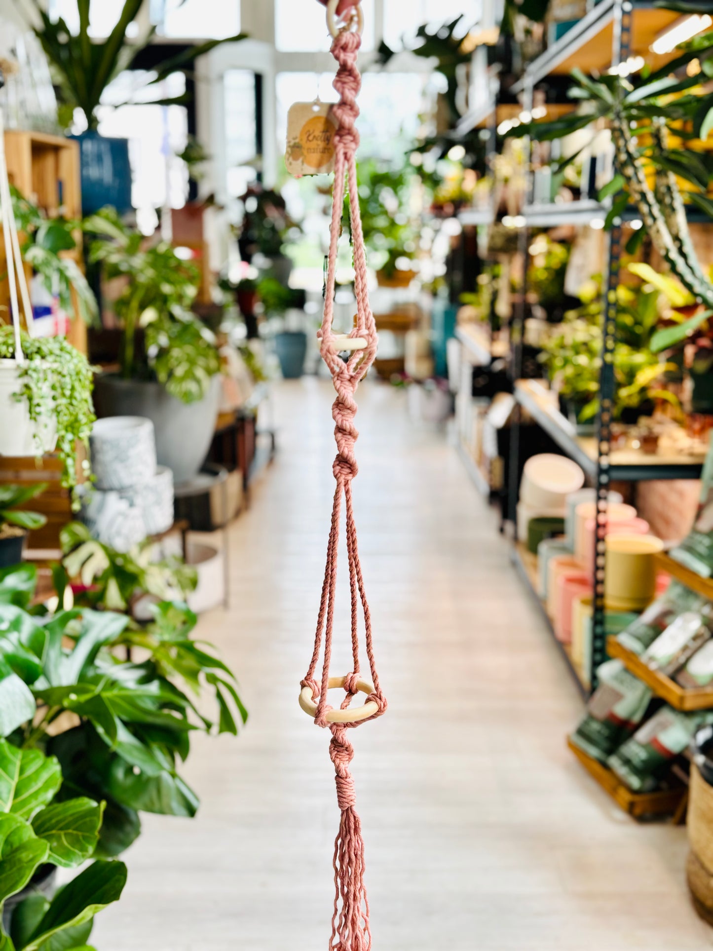Knotty By Nature Tiered Airplant Hangers