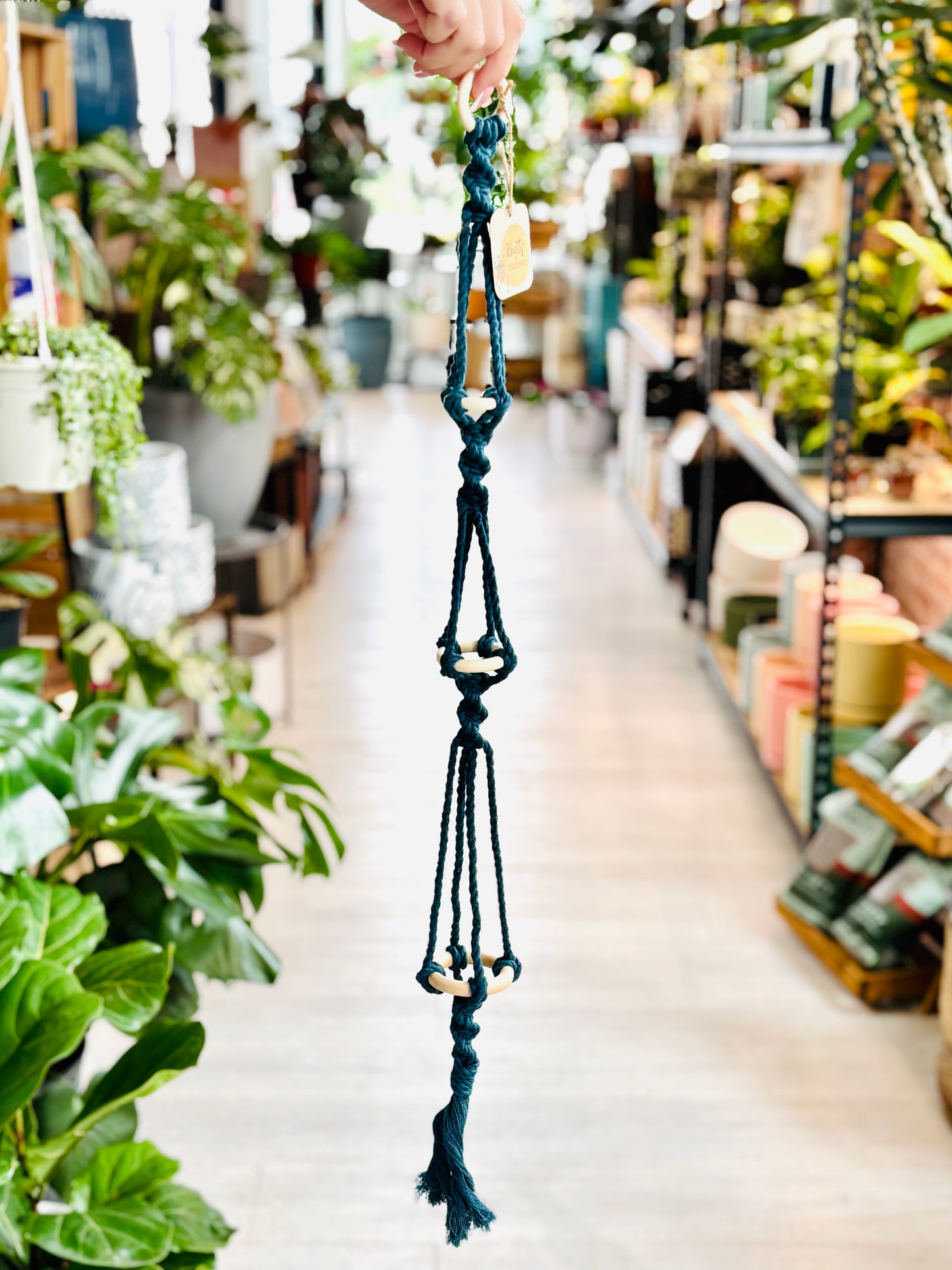 Knotty By Nature Tiered Airplant Hangers