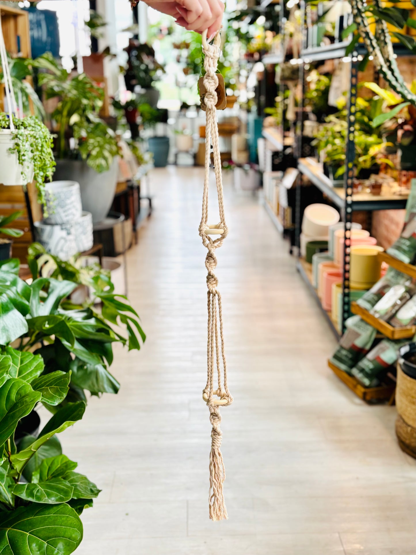 Knotty By Nature Tiered Airplant Hangers