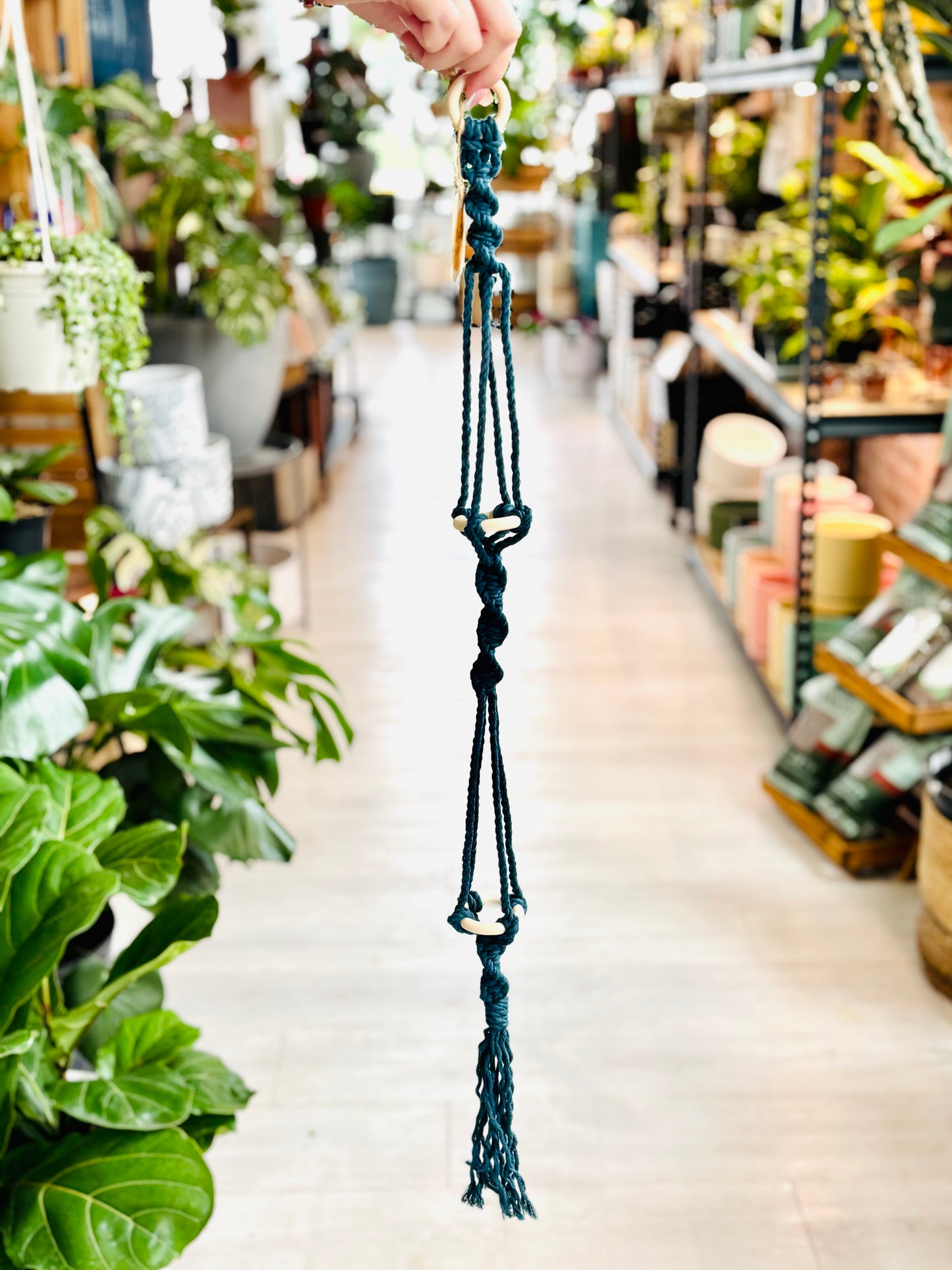 Knotty By Nature Tiered Airplant Hangers