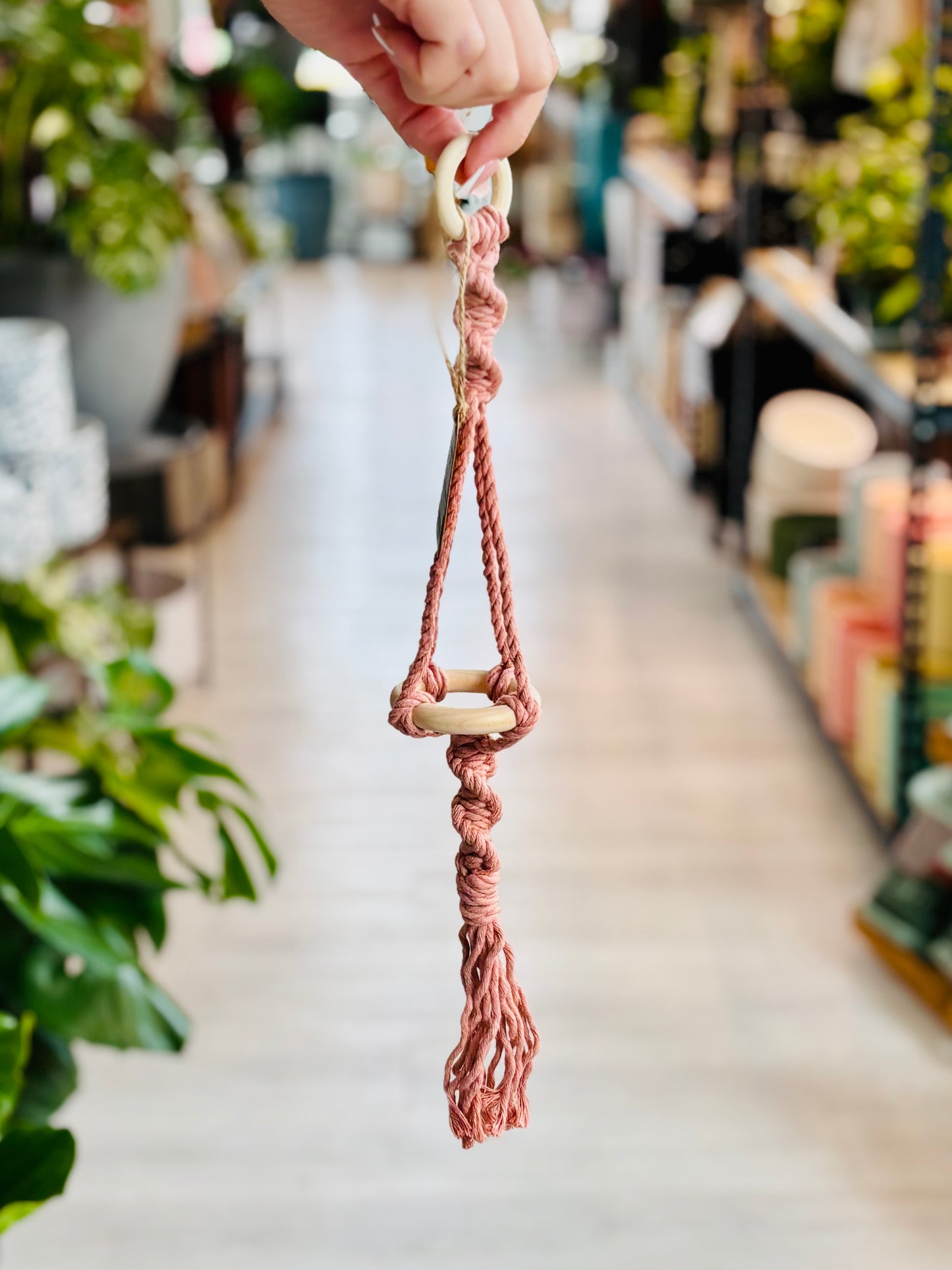 Knotty By Nature Tiered Airplant Hangers