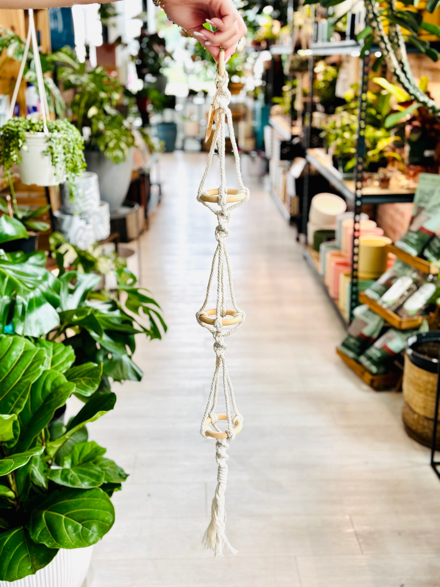 Knotty By Nature Tiered Airplant Hangers