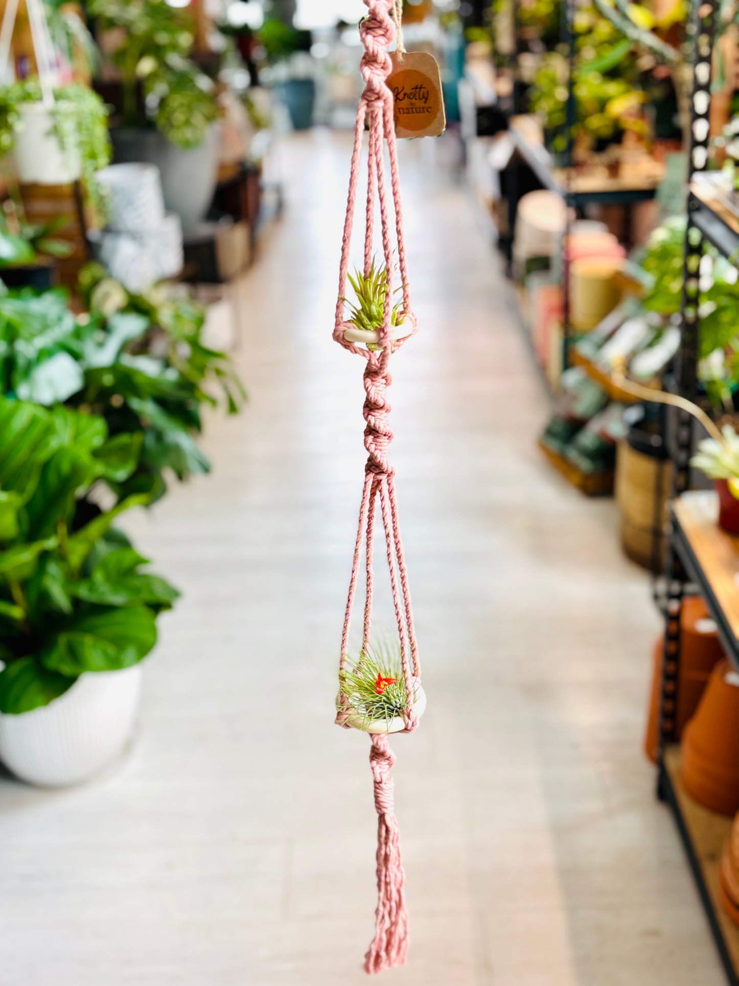 Knotty By Nature Tiered Airplant Hangers