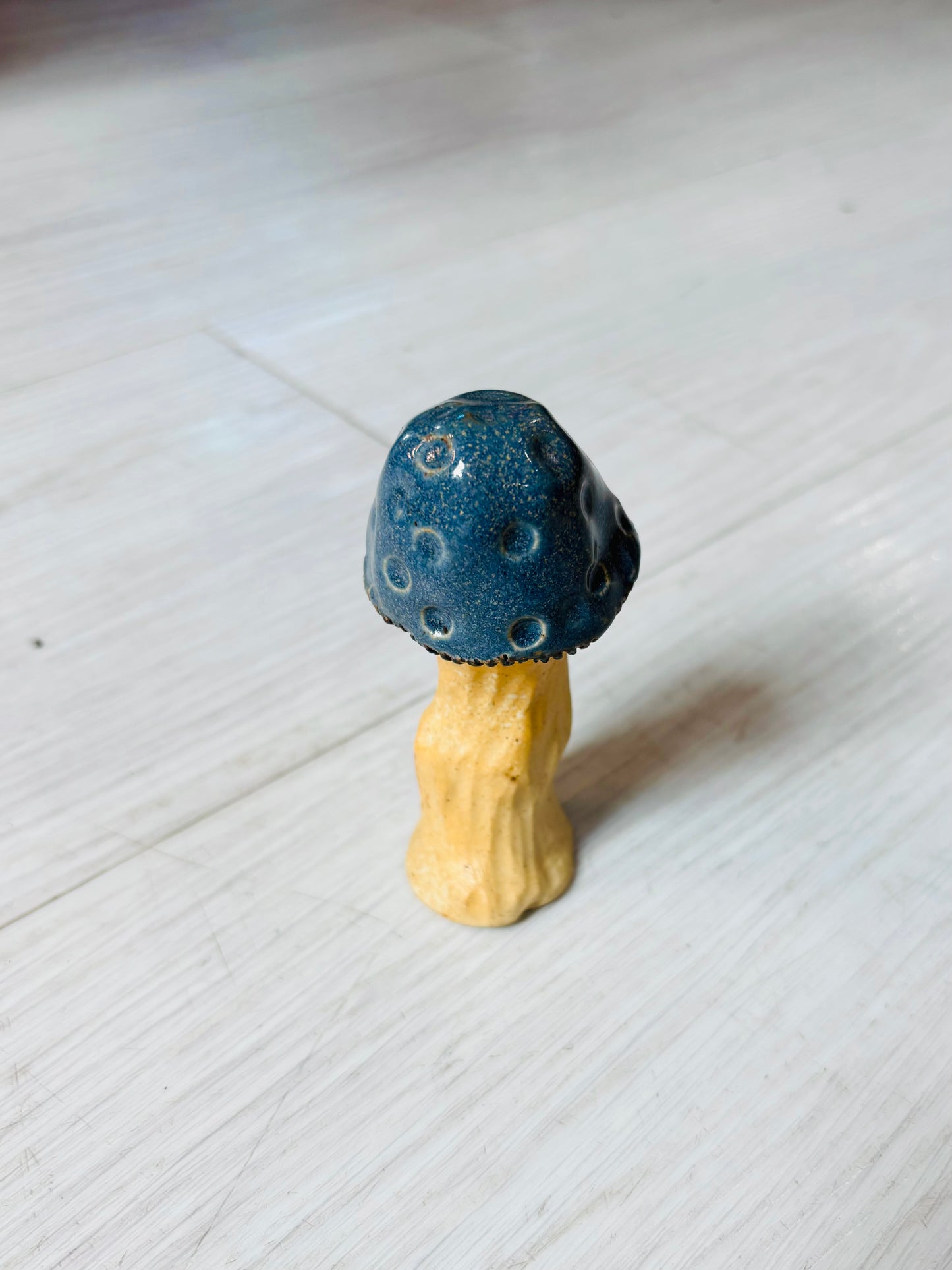 Glazed Ceramic Mushrooms