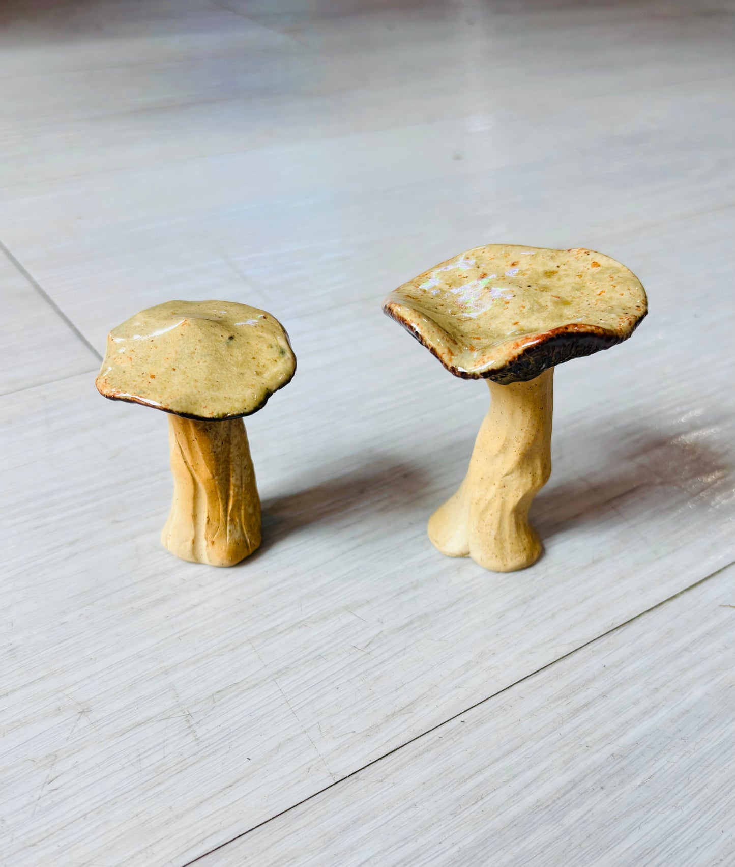 Glazed Ceramic Mushrooms
