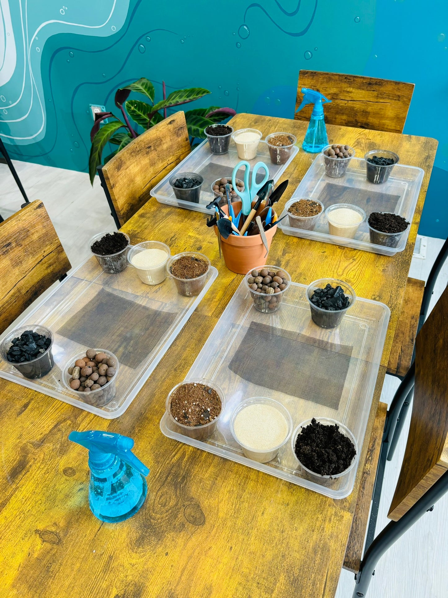 Terrarium Creations - August 21st