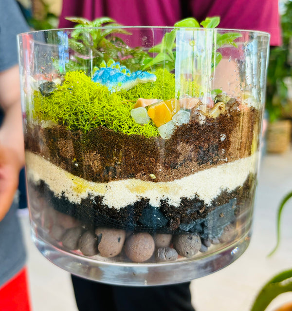 Terrarium Creations - August 21st