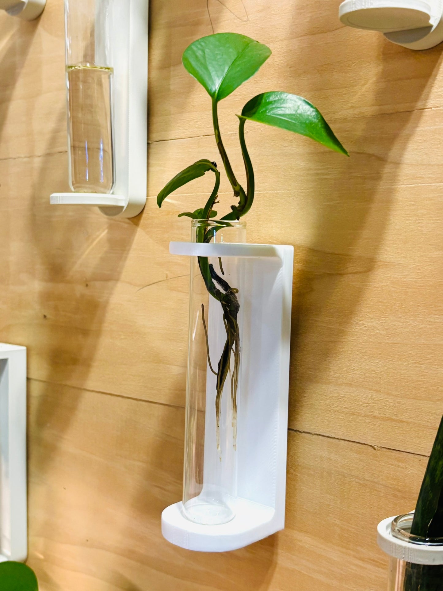 3D Propagation Station - Wall Hanging