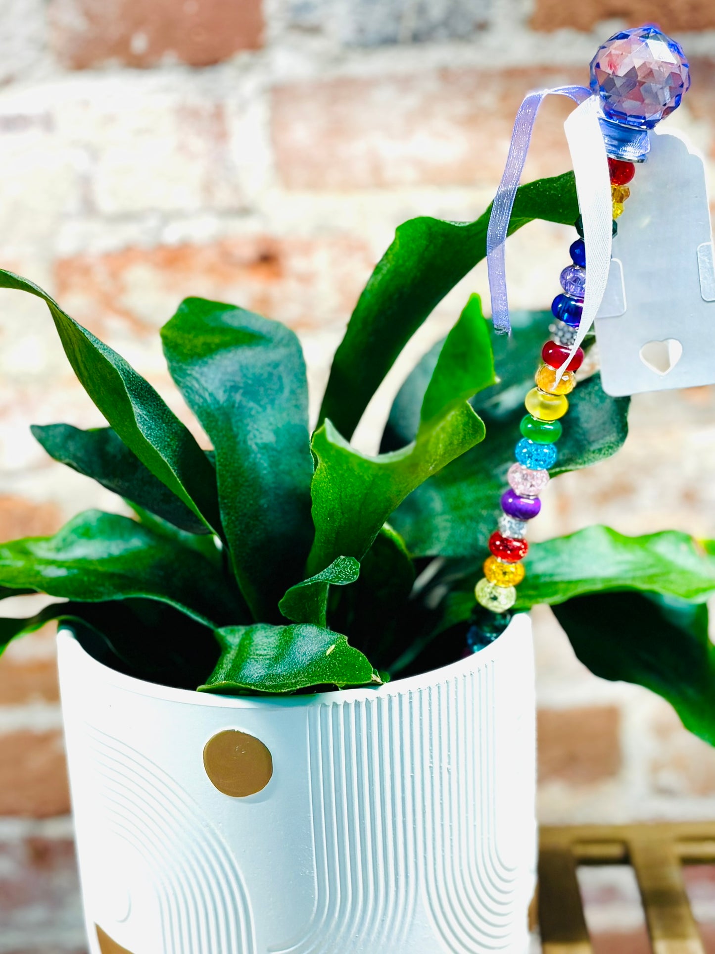 Plant Pretties Made With Love